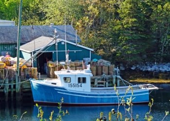 درخواست گروهی از مسئولان برای بررسی توافق‌نامه ماهی‌گیری میک‌مک