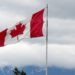 دولت کانادا برای افزایش پذیرش مهاجران برنامه‌ریزی می‌کند