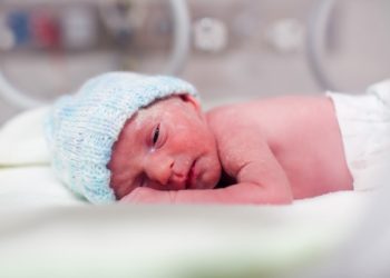 در ماه‌های جولای و اکتبر رشد جمعیت کانادا صفر شد