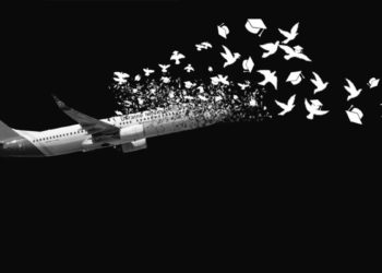 تعیین نماد برای جان‌باختگان فاجعه هواپیمای اوکراینی