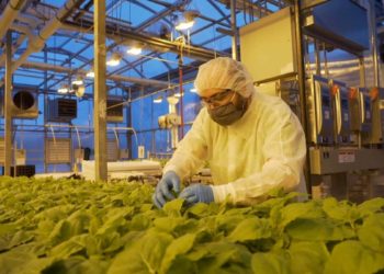 دسترسی بلندمدت به واکسن‌های داخلی برای کانادا اولویت است