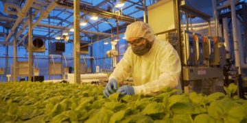 دسترسی بلندمدت به واکسن‌های داخلی برای کانادا اولویت است