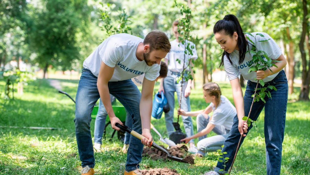 volunteers planting trees in green park together JN9BXEU