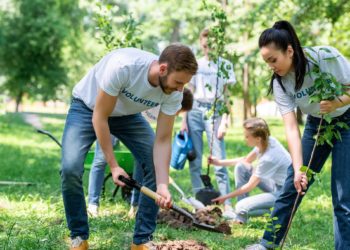 تعهد دولت برای کاشت درخت دو برابر قبل هزینه دارد