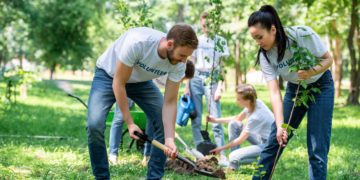 تعهد دولت برای کاشت درخت دو برابر قبل هزینه دارد