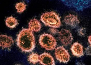 کدام گونه ویروس کرونا در کانادا وجود دارد؟