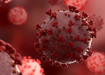 سازمان بهداشت جهانی: انتشار ویروس از طریق آزمایشگاه بعید است