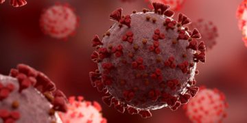 سازمان بهداشت جهانی: انتشار ویروس از طریق آزمایشگاه بعید است