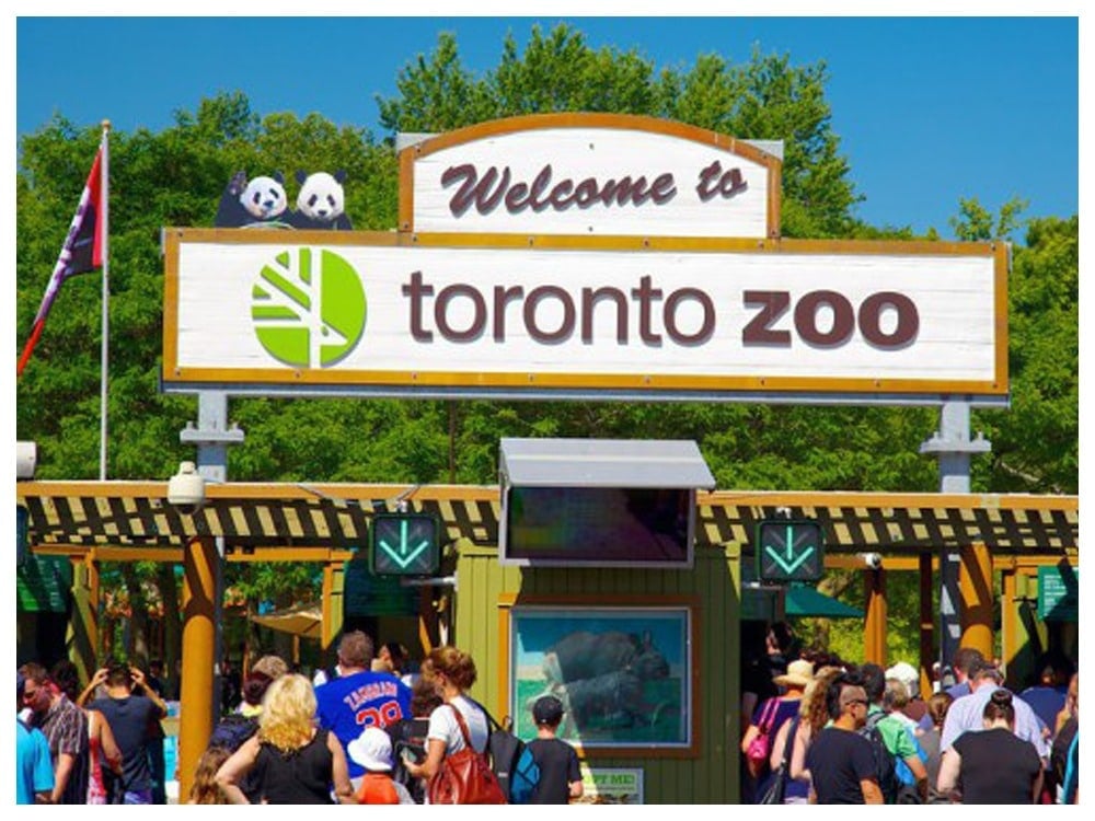 toronto zoo