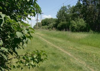 مردی با چاقو به دو زن محجبه در آلبرتا حمله کرد 8 مردی با چاقو به دو زن محجبه در آلبرتا حمله کرد