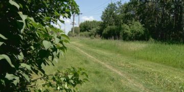 مردی با چاقو به دو زن محجبه در آلبرتا حمله کرد