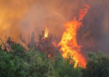 سازمان ملل: زمین سریعتر از تصور رهبران جهان در حال گرمشدن است 6 سازمان ملل: زمین سریعتر از تصور رهبران جهان در حال گرمشدن است