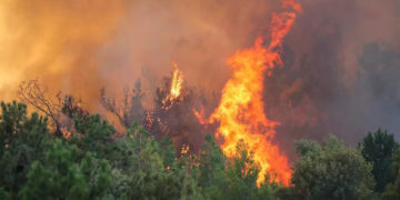 سازمان ملل: زمین سریع‌تر از تصور رهبران جهان در حال گرم‌شدن است