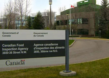 احتمال آلودگی باکتریایی دو شرکت غذایی کانادا را نقره داغ کرد 9 احتمال آلودگی باکتریایی دو شرکت غذایی کانادا را نقره داغ کرد