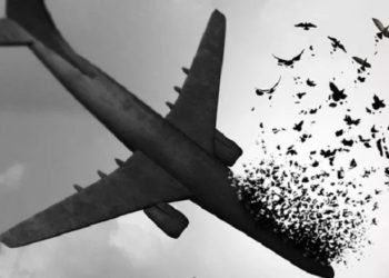 خانواده قربانیان پرواز پیاس 752 خواستار تحقیق از رییس پلیس کانادا شدند 3 خانواده قربانیان پرواز پیاس 752 خواستار تحقیق از رییس پلیس کانادا شدند