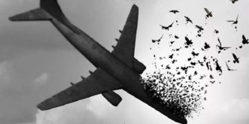 خانواده قربانیان پرواز پی‌‌اس 752 خواستار تحقیق از رییس پلیس کانادا شدند