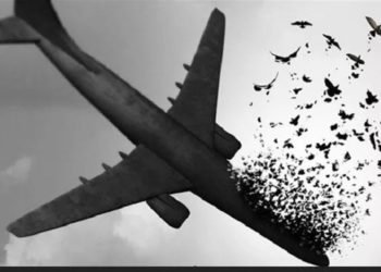 بیانیه جدید وزارت خارجه ایران درباره پرونده هواپیمای اوکراینی پی‌اس 752