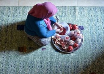 “خانه‌داری” ثروت ملی می‌آفریند، اما “شغل” نیست!