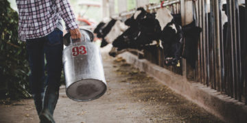 پیشنهاد افزایش قیمت بی‌سابقه از سوی کمیسیون فرآورده‌های شیر کانادا