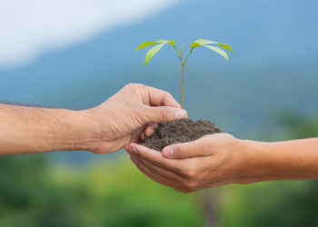 کاشت 2 میلیارد درخت در کانادا؛ وعده‌ای که دولت لیبرال برای تحقق آن می‌کوشد