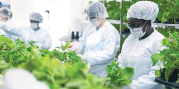 نتیجه مرحله سوم کارآزمایی بالینی واکسن “مدیکاگو” و “گلاکسواسمیت‌” رضایت‌بخش است