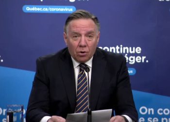 کبک پاورچین به سمت بازگشایی حرکت می‌کند