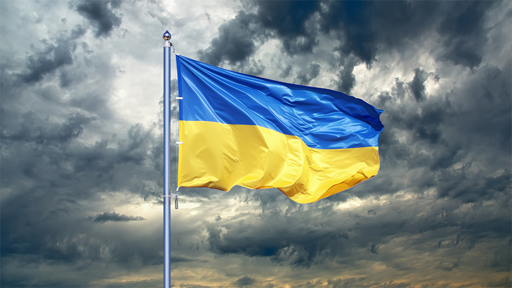 Ukraine Flag copy