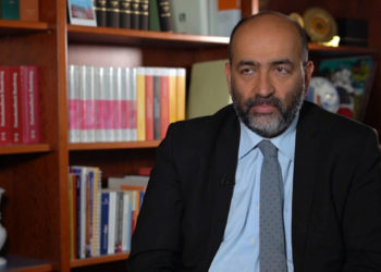 یک ایرانی‌تبار بر صدر حزب سبز آلمان نشست