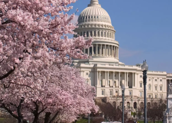 شورای شهر واشنگتن نوروز را به‌رسمیت شناخت