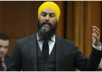 رهبر حزب نیودموکرات: در زمینه دریافت مالیات نخست‌وزیر می‌توانست فراتر هم برود