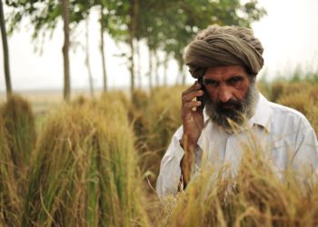 <strong>هند صادرات گندم را ممنوع کرد</strong> 6 هند صادرات گندم را ممنوع کرد