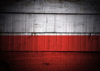 <strong>لهستان از شهروندان خواست هیزم جمع کنند</strong><strong></strong> 2 لهستان از شهروندان خواست هیزم جمع کنند