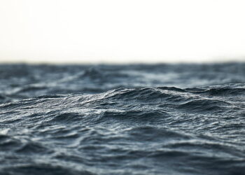 دولت فدرال بیش از یک میلیارد دلار دیگر برای پاکسازی و مراقبت از اقیانوس هزینه می‌کند