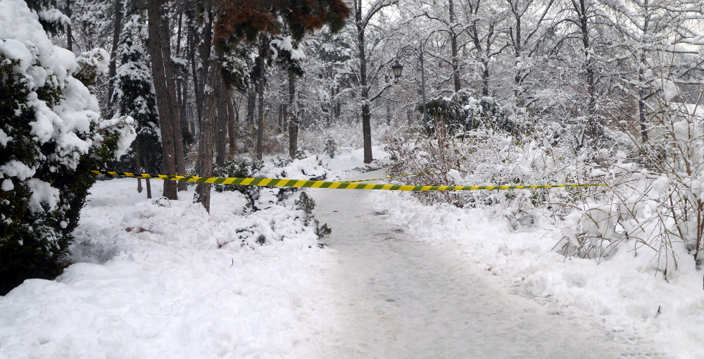 piece barrier tape snowy forest blocking entry