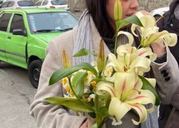 ترانه علیدوستی با سپردن وثیقه به‌طور موقت آزاد شد