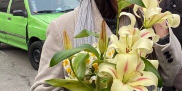 ترانه علیدوستی با سپردن وثیقه به‌طور موقت آزاد شد