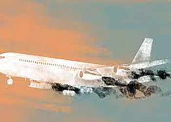 بیانیه گروه بین‌المللی هماهنگی برای قربانیان پرواز پی‌اس۷۵۲: محاکمه‌ها در تهران ساختگی است