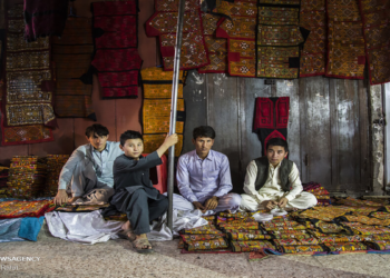 تعداد کل شهروندان افغان در کانادا به ۳۰ هزار نفر رسید