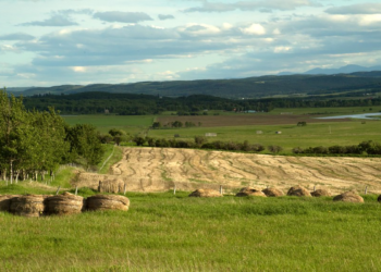 کانادا در ۱۰ سال آینده به ۳۰ هزار کشاورز مهاجر نیاز دارد