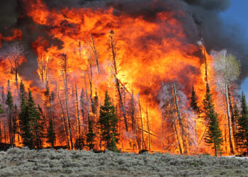 آتش‌سوزی در غرب کانادا بیش از ۱۳ هزار نفر را از خانه دور کرد