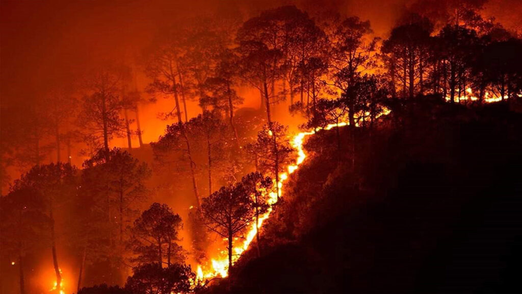 Bandipur fires 201911