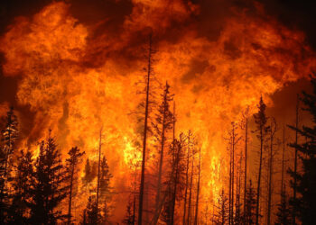 یک گردان از آتش‌نشانان ساکن اتحادیه اروپا به کمک همکاران‌شان در کانادا می‌آیند