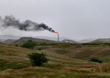 ارس امیری: فعالان محیط‌ زیست زندانی در ایران را دریابید!