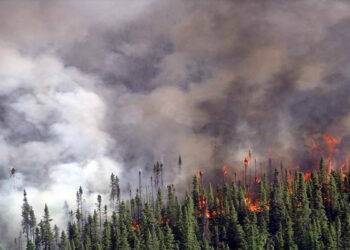 کانادا گرفتار بدترین آتش‌سوزی جنگل‌ها در قرن بیست و یکم شده است