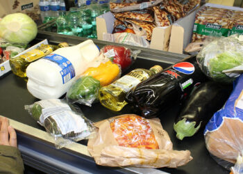 به‌صدا درآمدن زنگ خطر ناامنی غذایی: حدود ۲۲ درصد از کانادایی‌ها زیر خط فقر زندگی می‌کنند