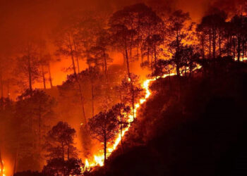 دود آتش‌سوزی‌های اخیر در کانادا مستقیم به چشم اقتصاد رفته است