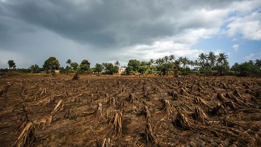 Floods Natural Disasters 11111