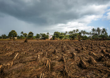 سازمان جهانی هواشناسی: احتمال پیدایش “ال‌نینو” قوت گرفت