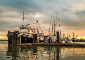 «دریای توفانی» اعتصاب کارکنان بندرهای کانادا «به ساحل آرامش» رسید