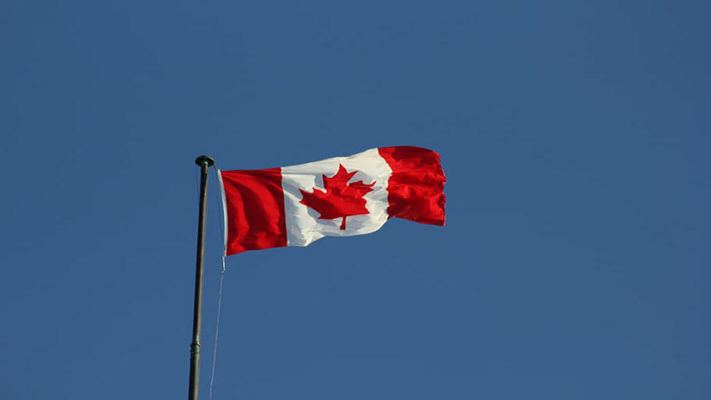 canada flag flag c111111